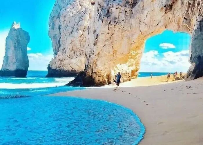 Senor Manana San Jose del Cabo
